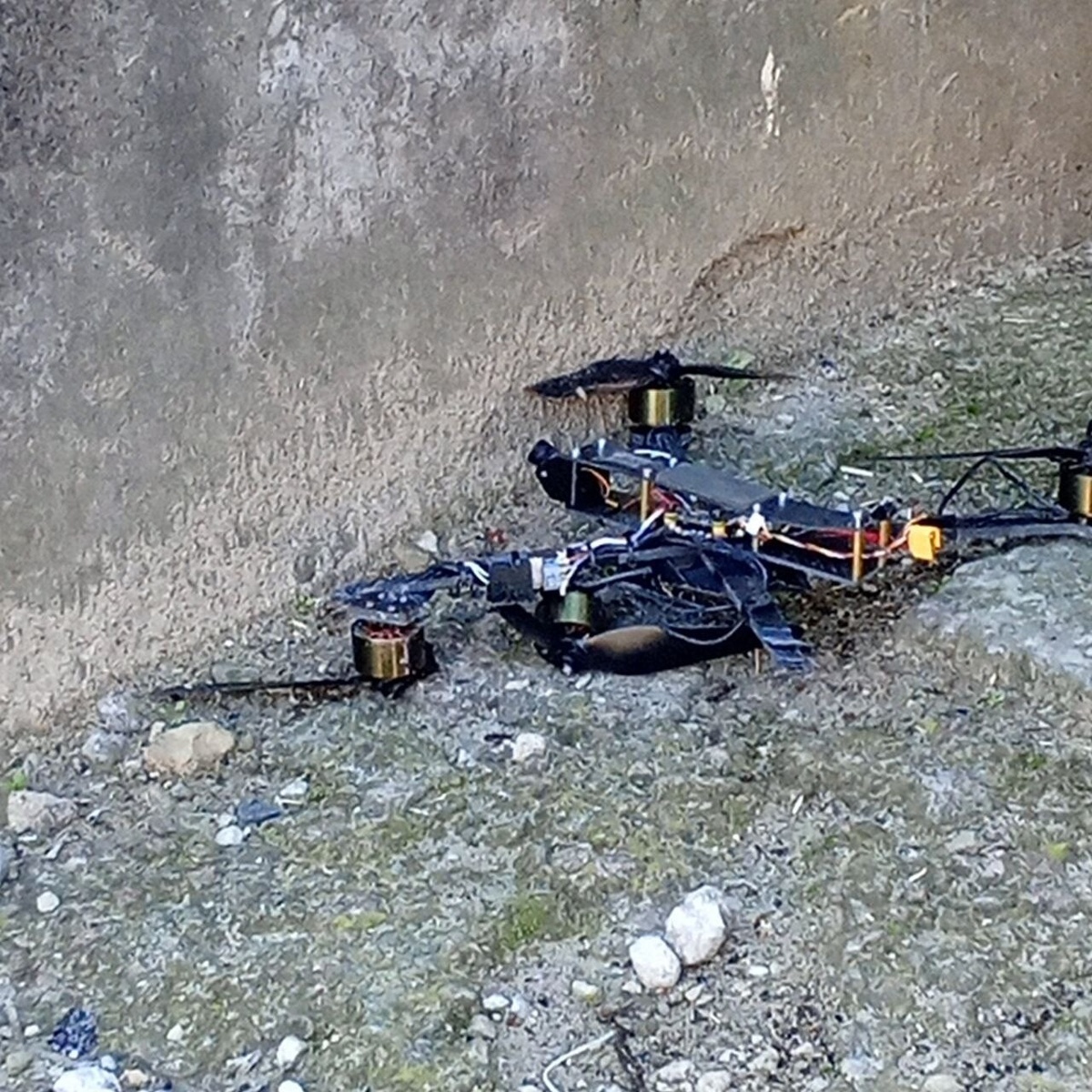    Фото: официальный телеграм-канал Владимира Сальдо