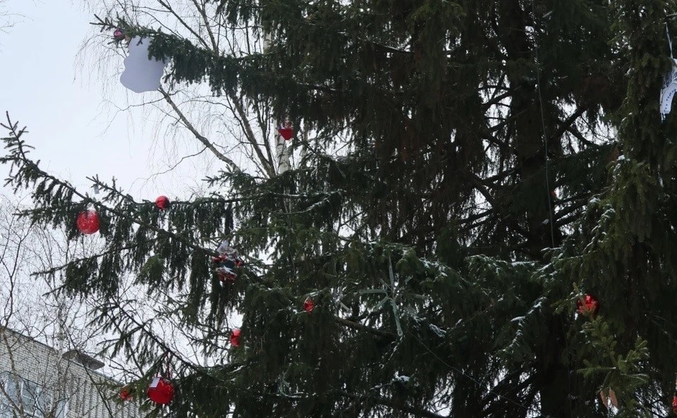    Фото с сайта администрации города Владимира.