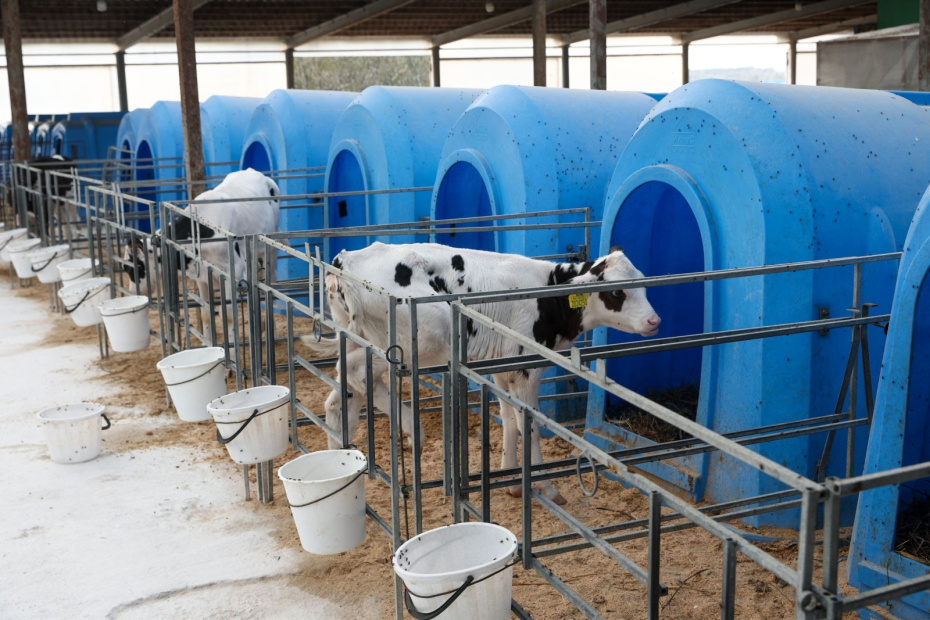    Наталья Шатохина/NEWS.ru