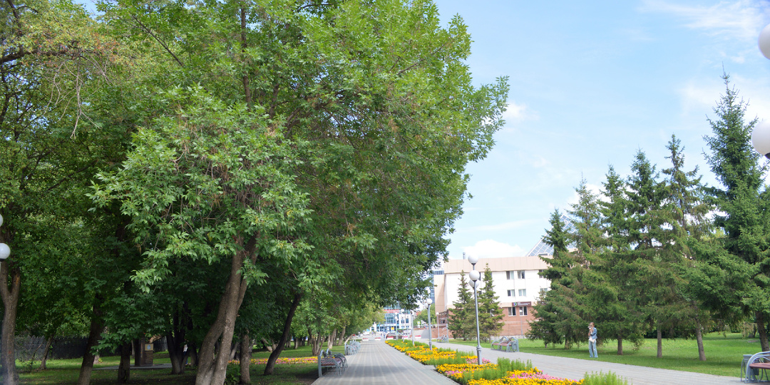 Разговор на аллее