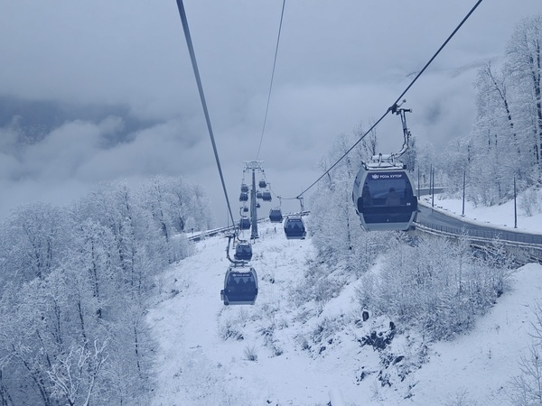    Фото: Юрий Серебренников/BFM Кубань