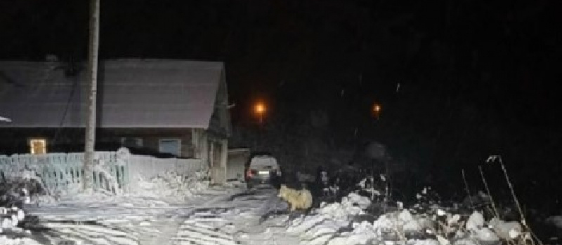     Совет депутатов Пудожского городского поселения / VK