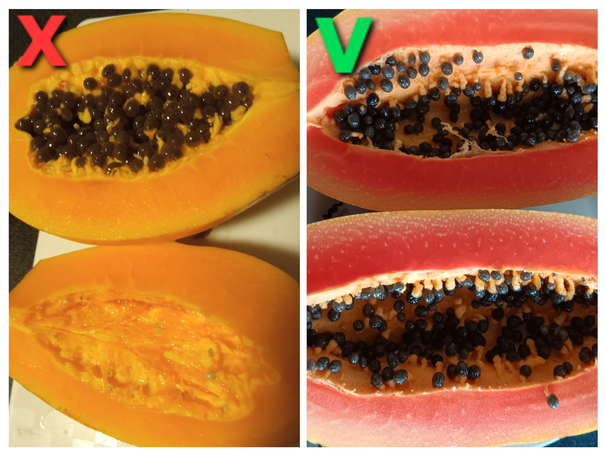 Два разных сорта сильно отличаются по вкусу. Красная гораздо вкуснее.