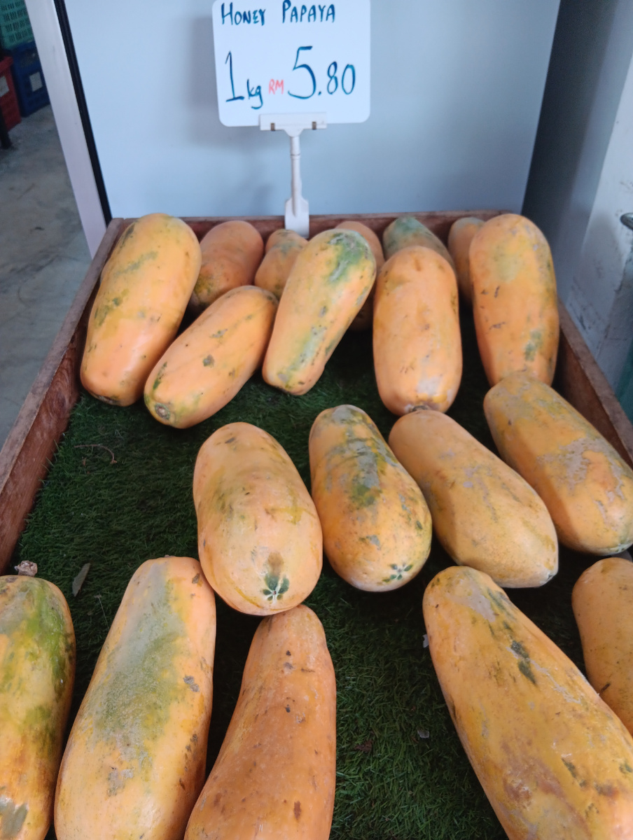 В Малайзии сорт с красной мякотью - Honey