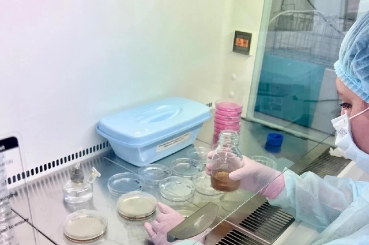    Боль и гной.