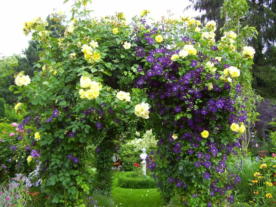 Фото из Интернета