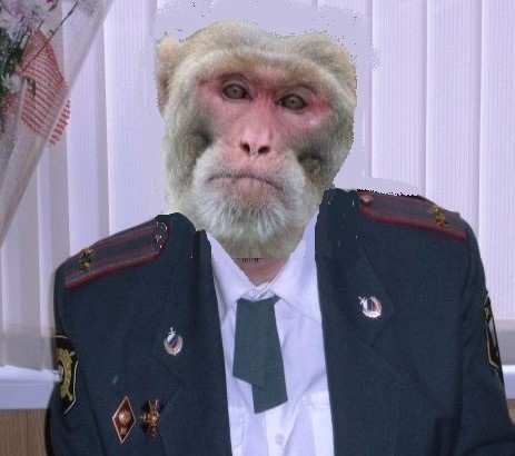 Из личного архива