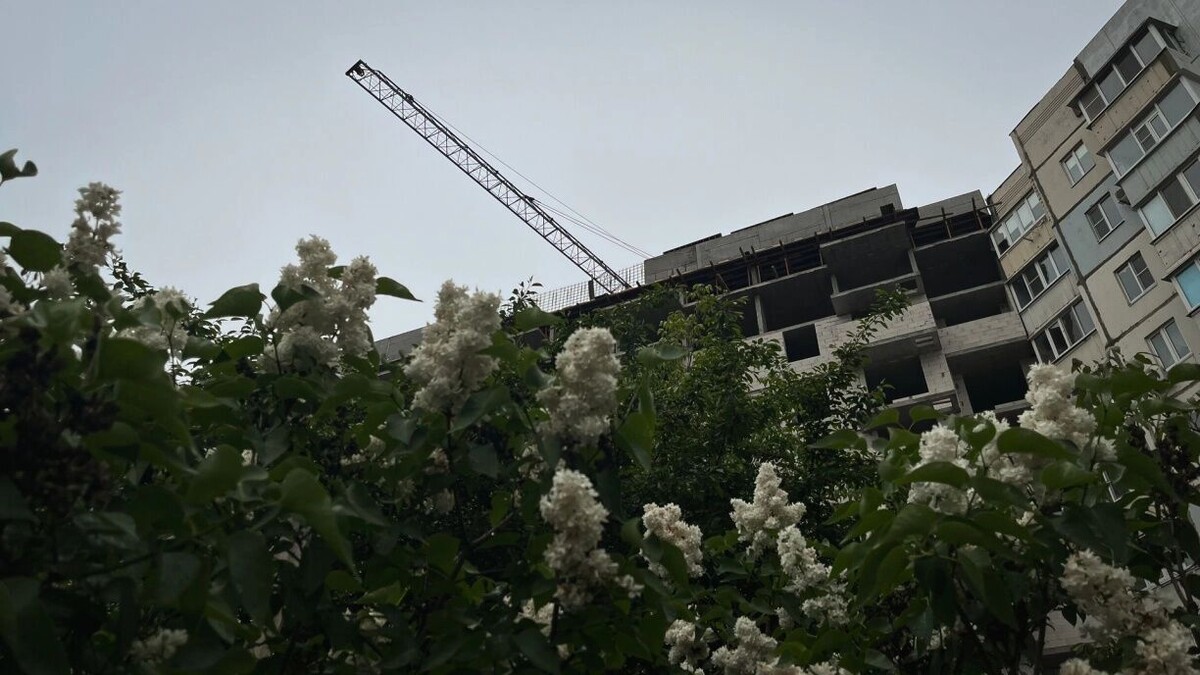    Когда выгодно покупать жилье в Ростовской области?   1MI