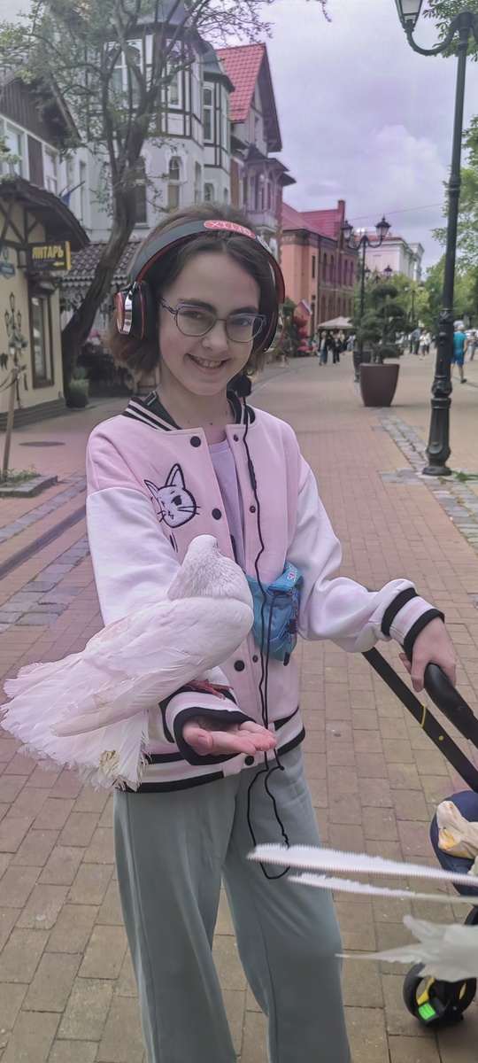 г. Зеленоградск, Калининградская область, июль 2025 г.