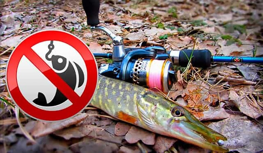 Рыбалка в 2026 году: где заканчивается удовольствие и начинается закон