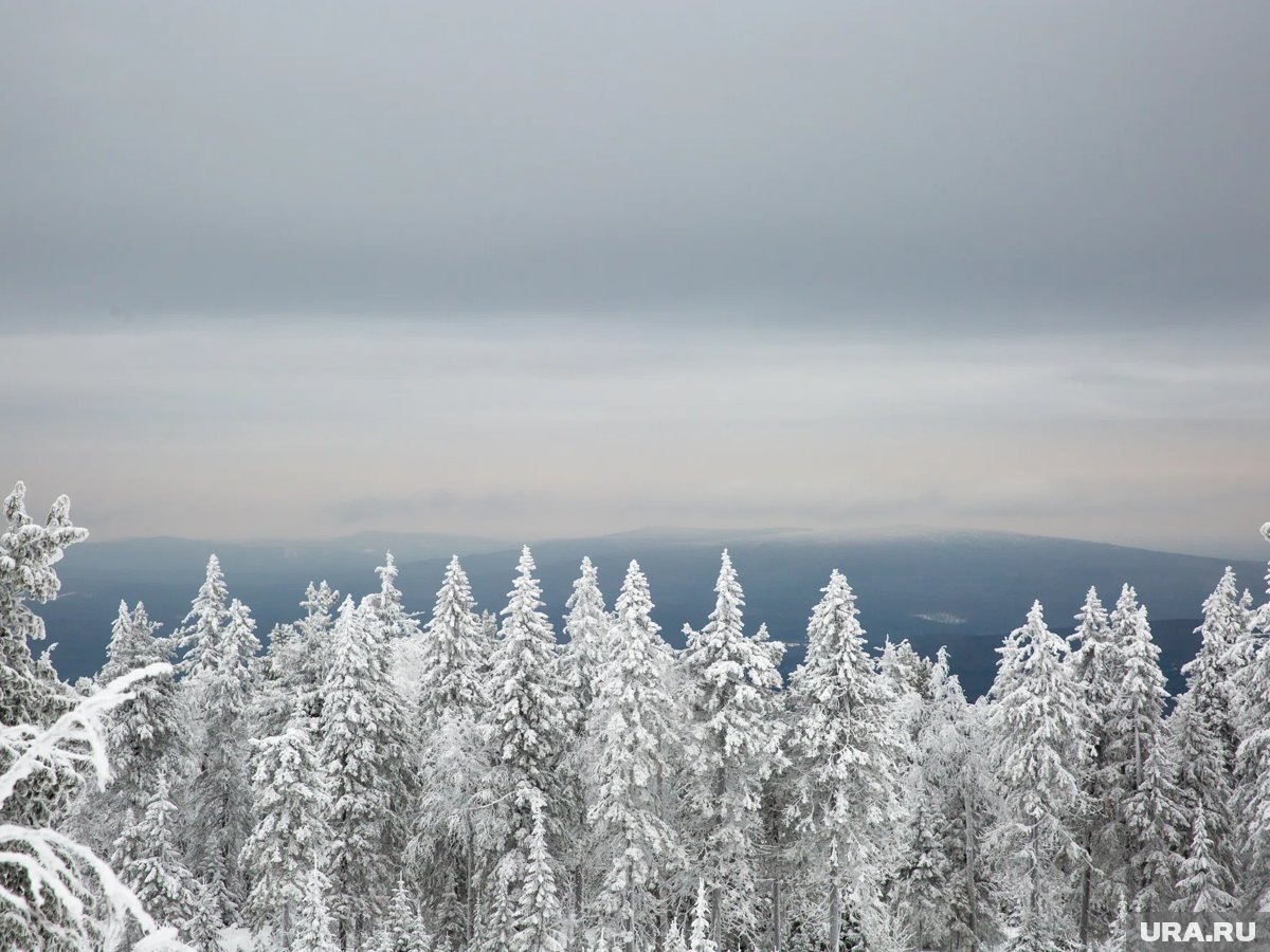     По словам эксперта, из-за человеческого фактора спасатели могут упустить важные детали, поэтому применение ИИ вполне оправдано