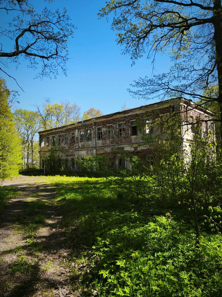 Усадьба в 2025 году. автор фото Григорий К 