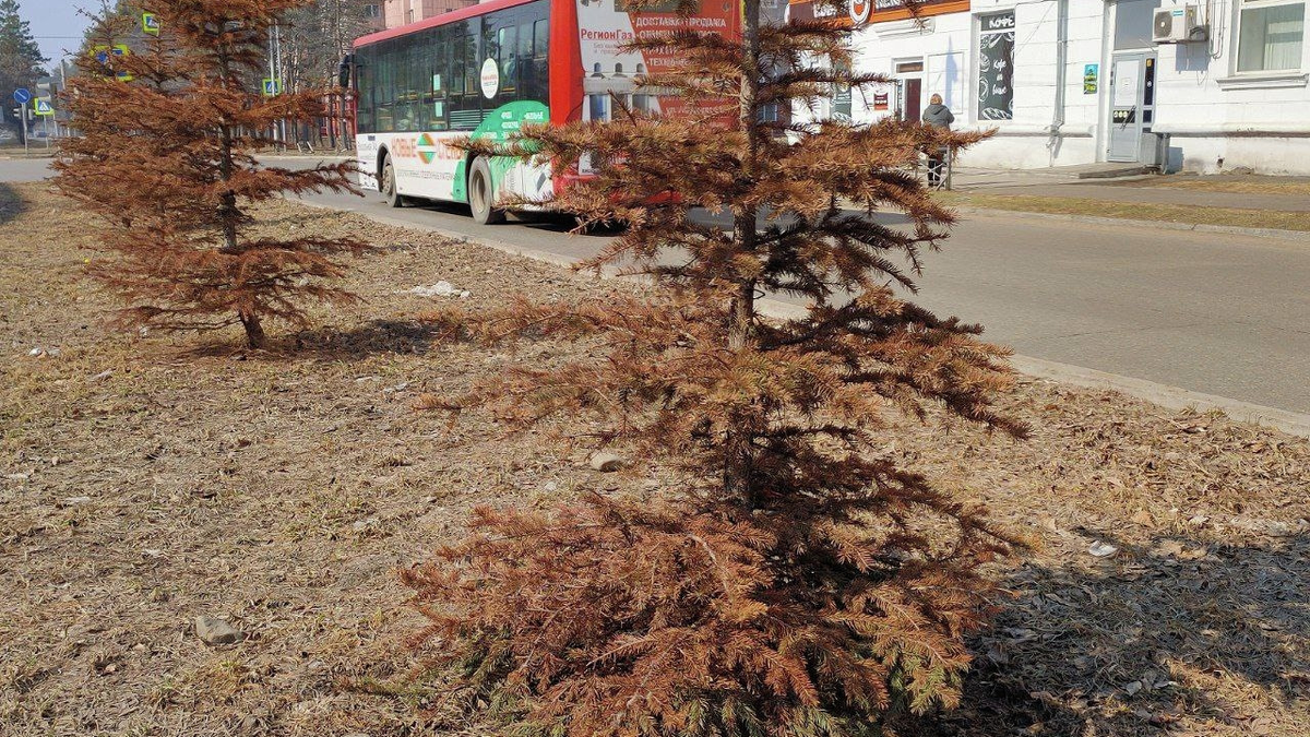 Фото из интернета