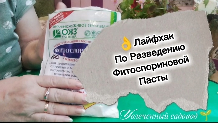 Что такое разбудить споры фитоспорина и почему это важно