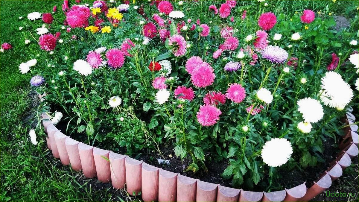 Фото с Яндекс поиска