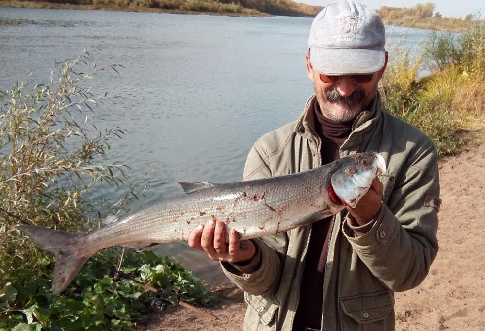 Белорыбица — когда река перестала быть рекой