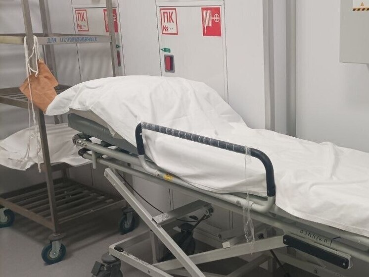     АСИ продолжит создание центров военно-гражданской медицины в регионах России в 2026 году. Фото: архив МК в Питере