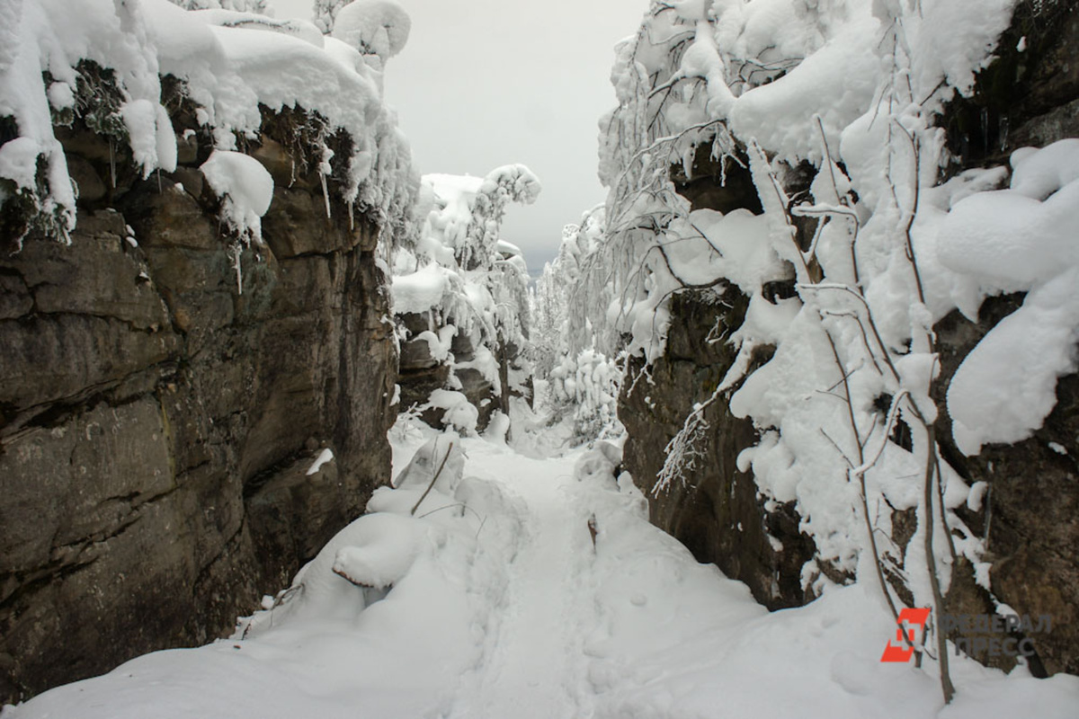 По мнению депутата, причиной ЧП стали сложный рельеф и отсутствие четких ориентиров.  Фото: ФедералПресс / Дмитрий Кулеш