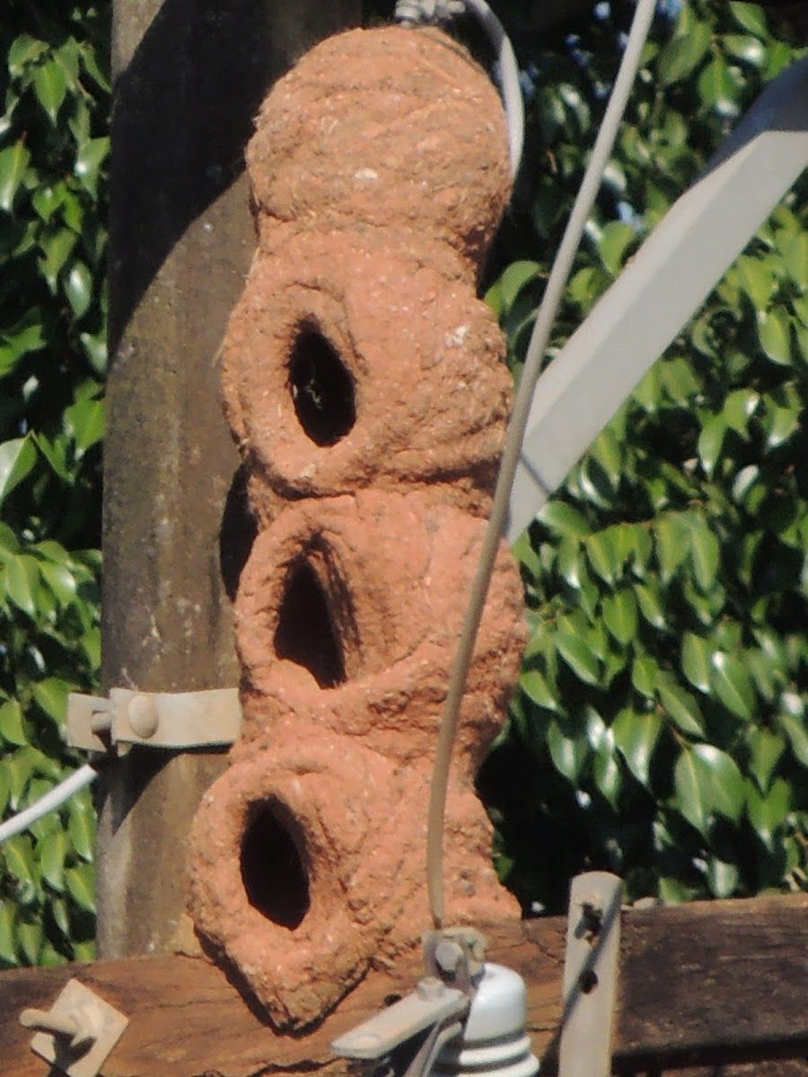 Ого, четырёхэтажка.