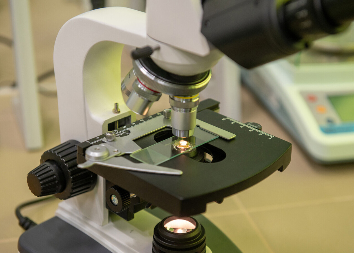    Фото: Херсонское агентство новостей