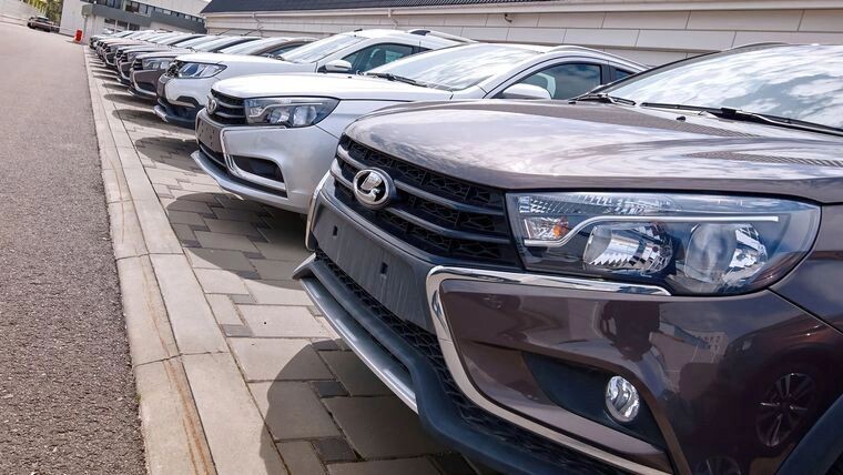    Фото: Tricky_Shark/Shutterstock/Fotodom