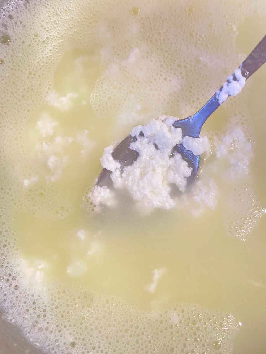 Вот творог начинает отделяться от сыворотки. Фото автора статьи 