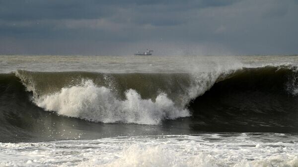    © РИА Новости . Артур Лебедев