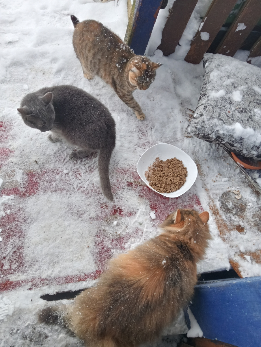 Тётя Брыся не ворчи! Мы уже поели!