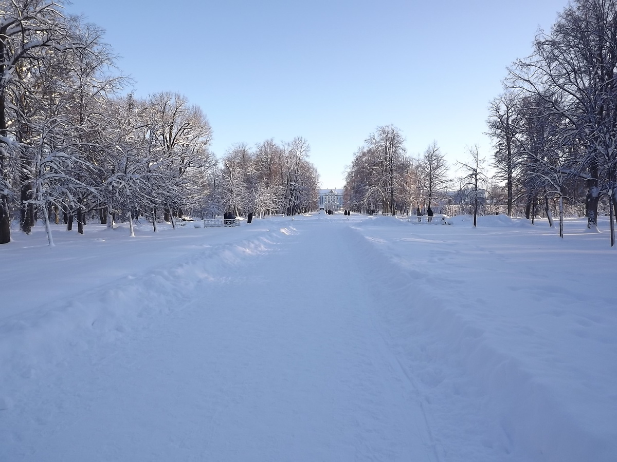 Царское село, вид на Лицей