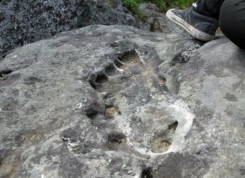 След великана на горе Полюд