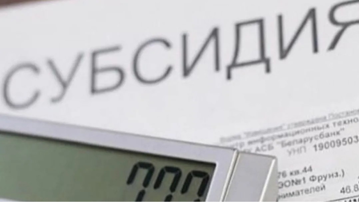 Для оформления субсидии, надо обратиться в органы социальной защиты по месту жительства