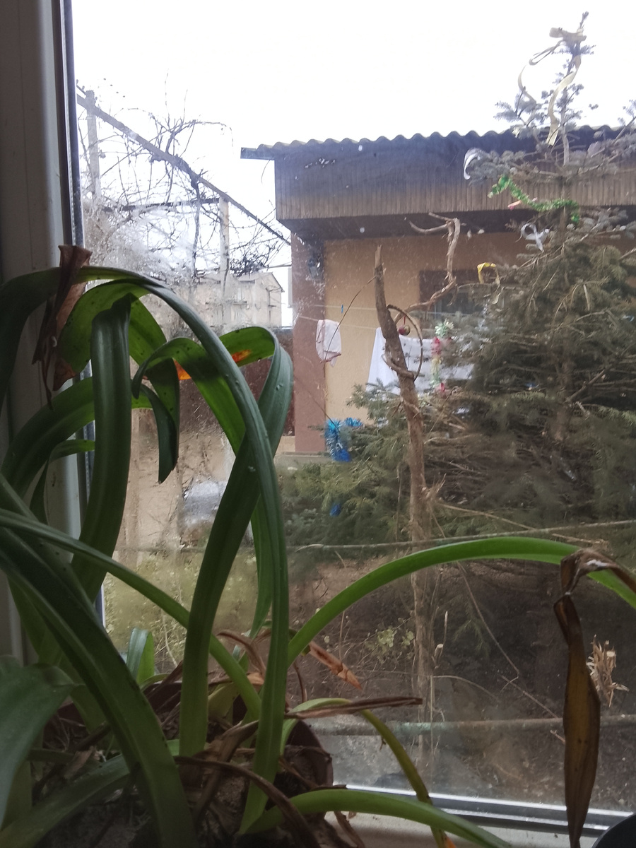 Это моя улица.