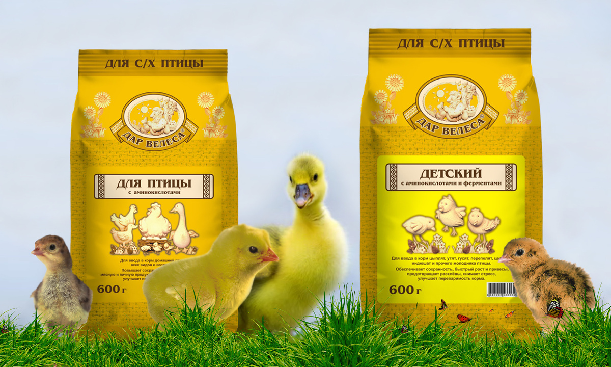 Дар Велеса Детский для цыплят и для взрослой птицы с аминокислотами