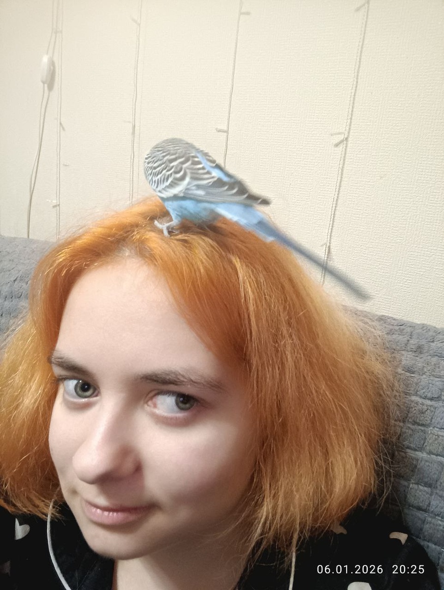 Диана и Чуча