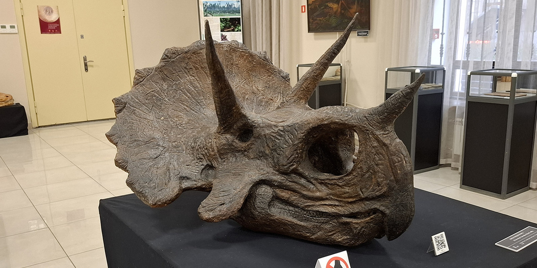 Ростовский областной музей краеведения. Ростов-на-Дону. Часть 1-я