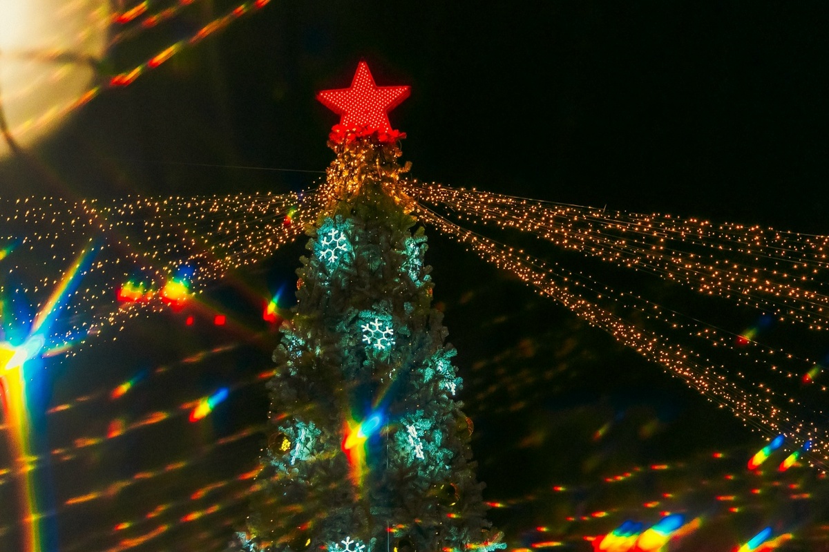    Фото: пресс-служба Администрации Сысертского муниципального округа