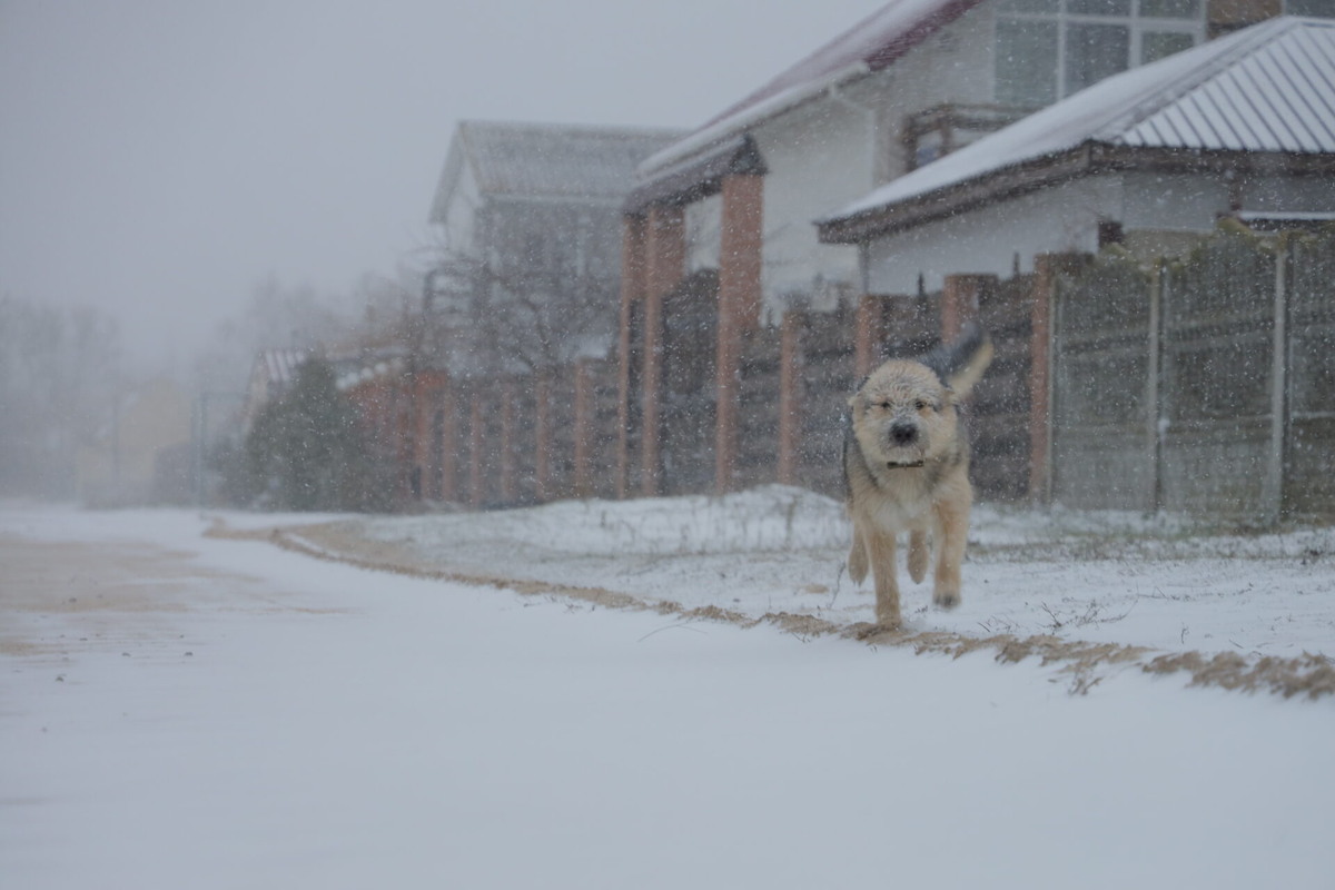    Фото: ТРК «Таврия»