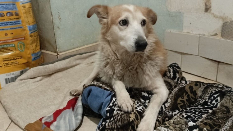 Передержка - это не легко!