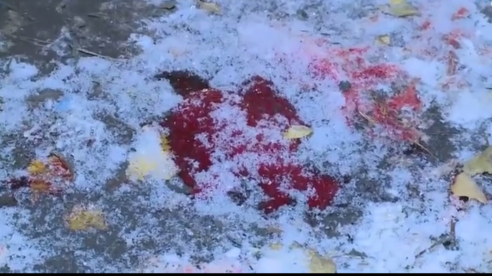    Фото: vesti-omsk.ru