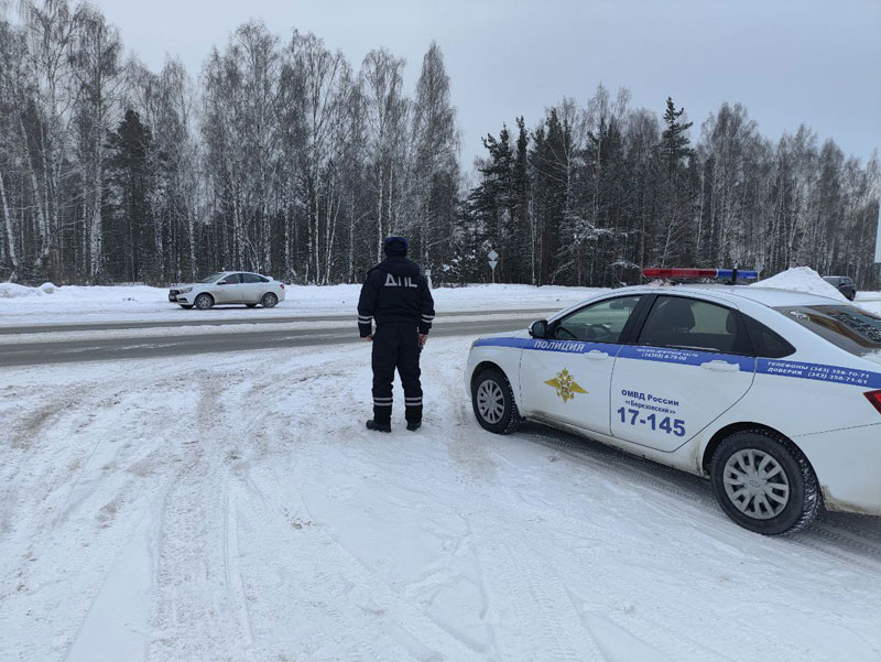     Фото: УГИБДД по Свердловской области