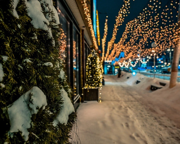     В Курской области спасатели предупредили о сильных морозах