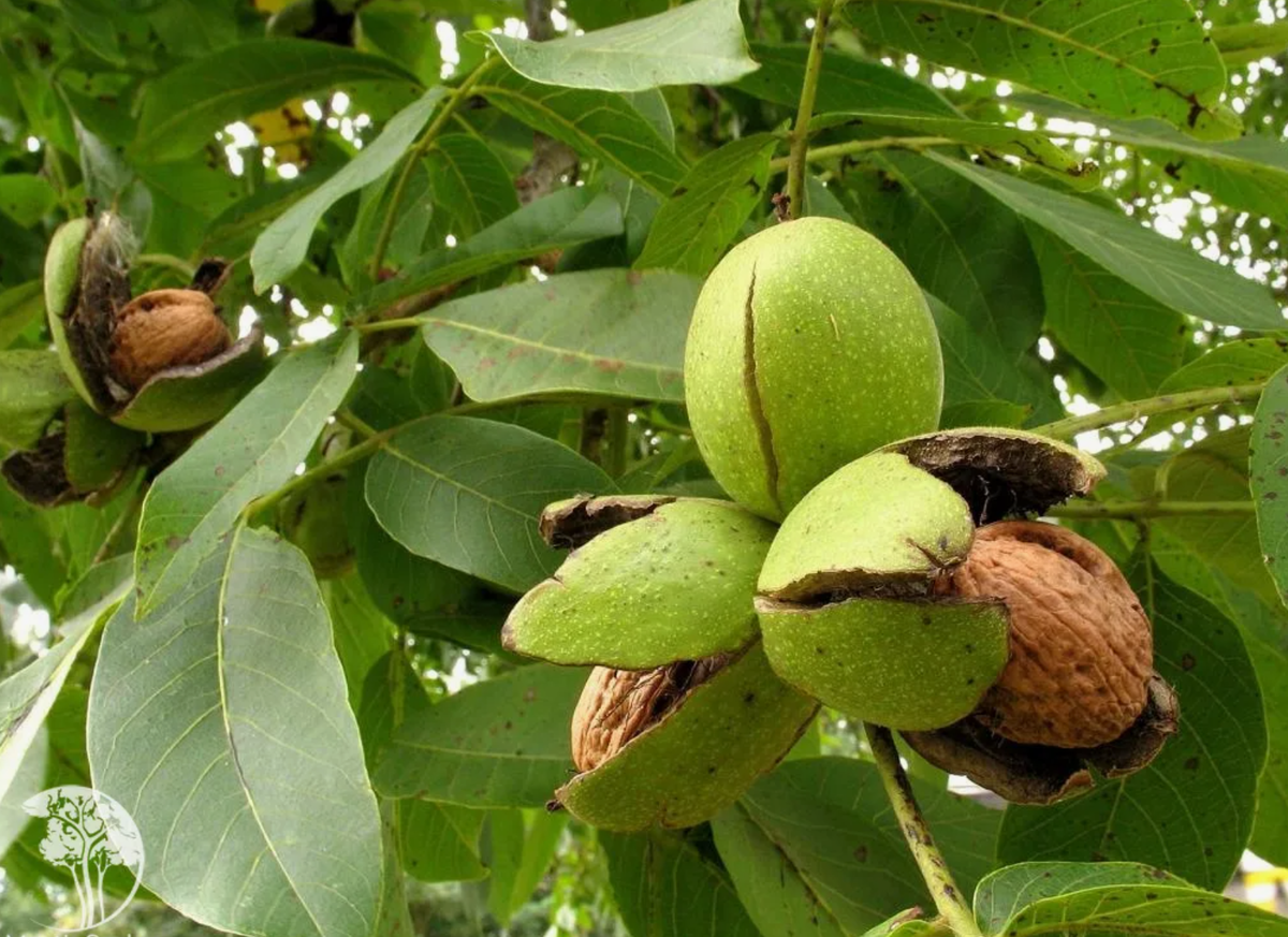 Источник фото: martin-sad