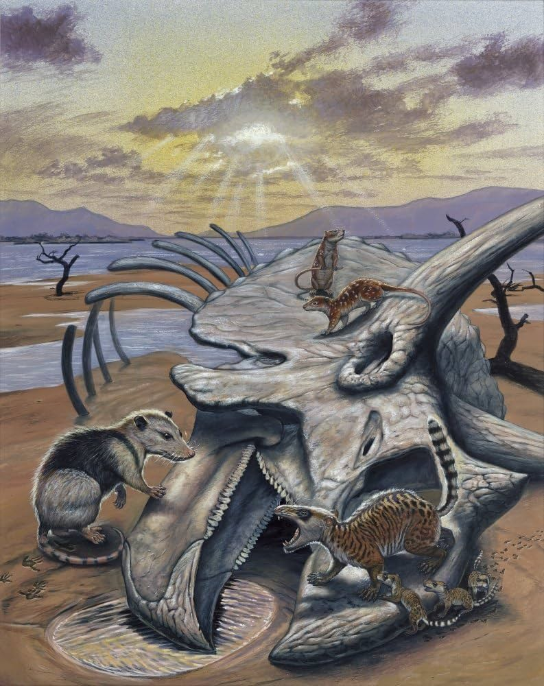 Ранние млекопитающие гобиконодоны на черепе трицератопса, работа Марка Халлета