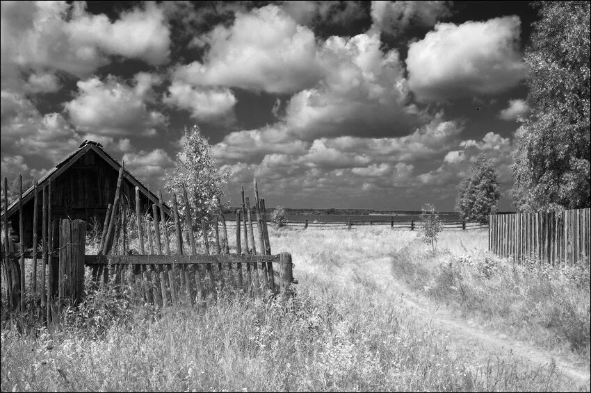 Взято из открытых источников интернета Яндекс.