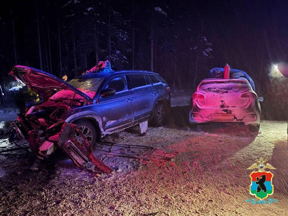    Фото: t.me/Karelia_police