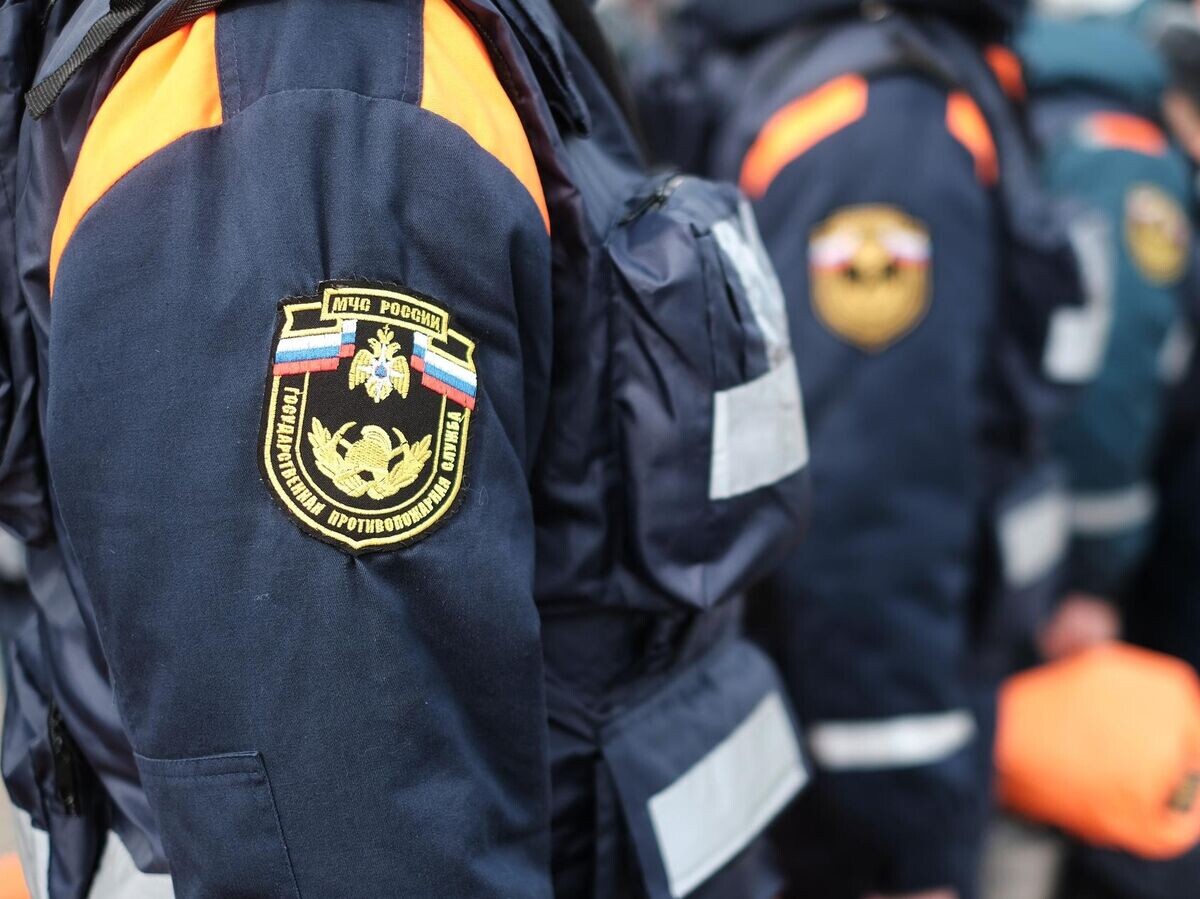    Шеврон на рукаве бушлата сотрудника аэромобильной группировки МЧС России | © РИА Новости / Николай Хижняк