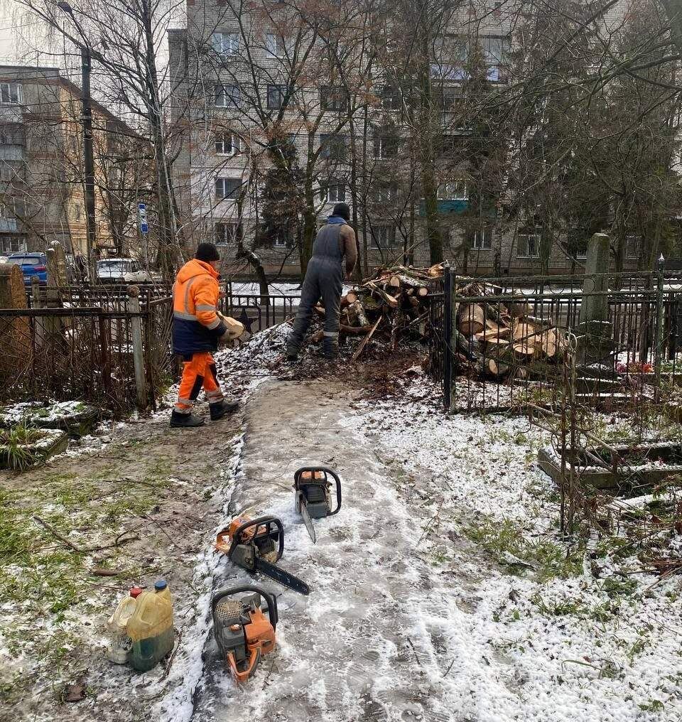    фото: Администрация Курска