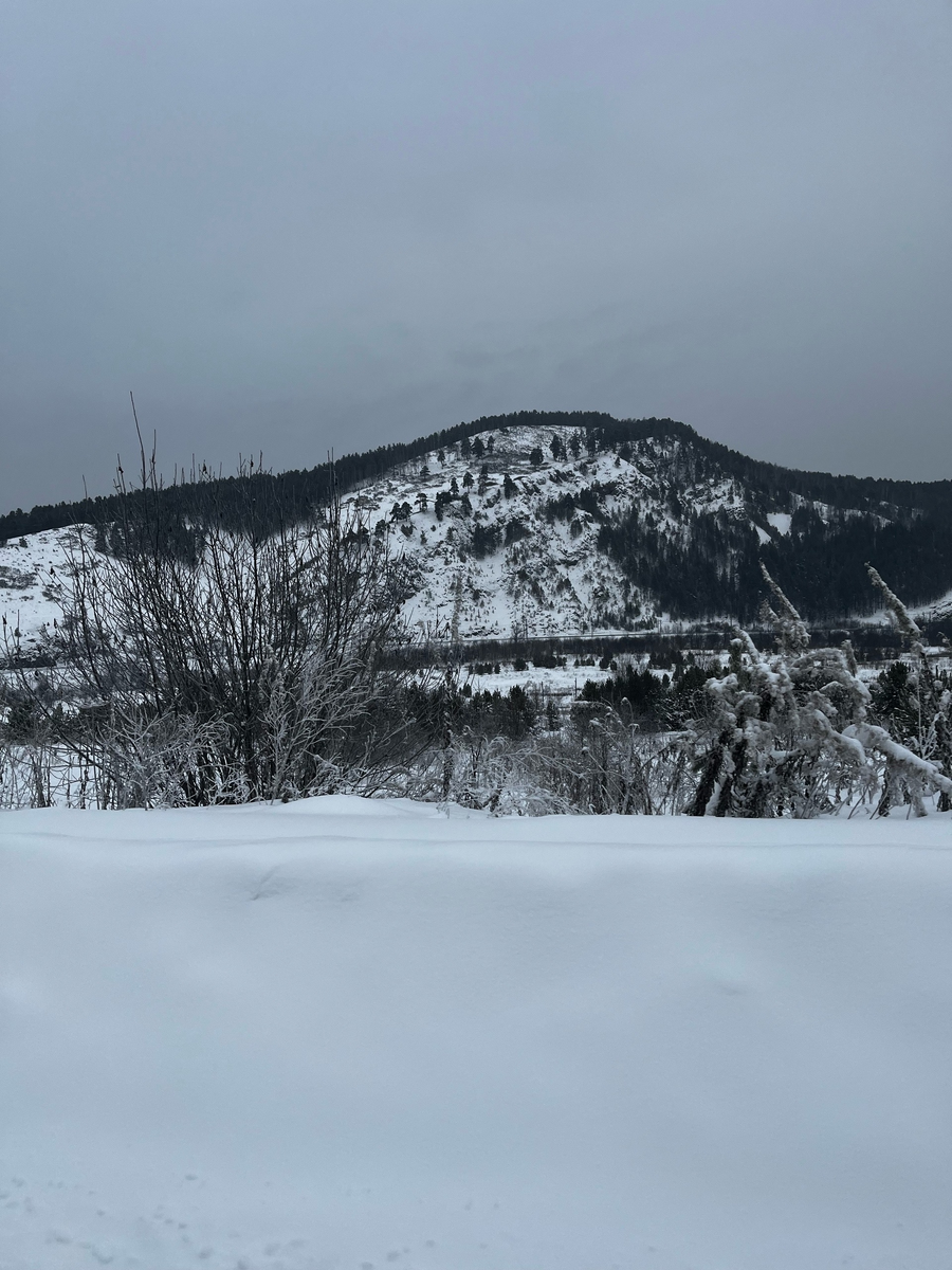 Дорога на лыжный стадион