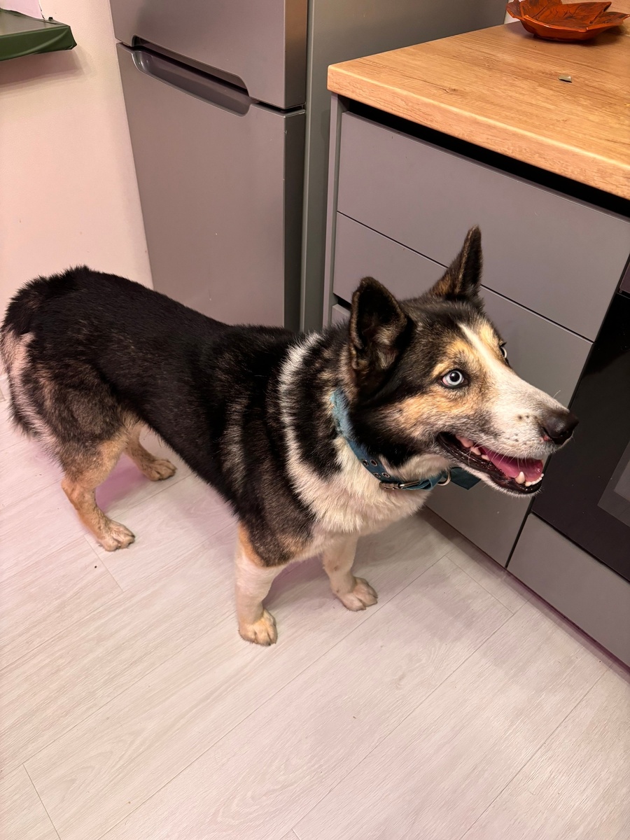    читатель "Фактора"