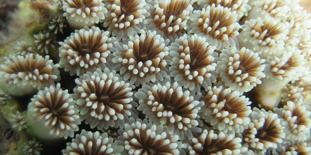 График отработан...